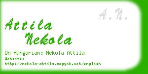 attila nekola business card
